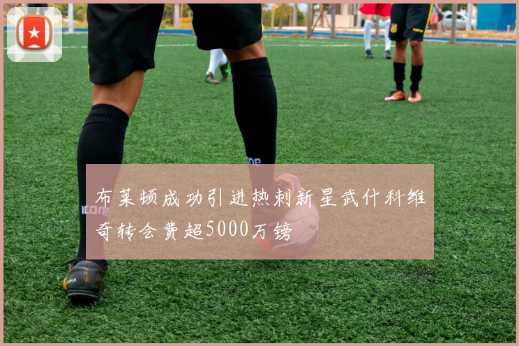 布莱顿成功引进热刺新星武什科维奇转会费超5000万镑