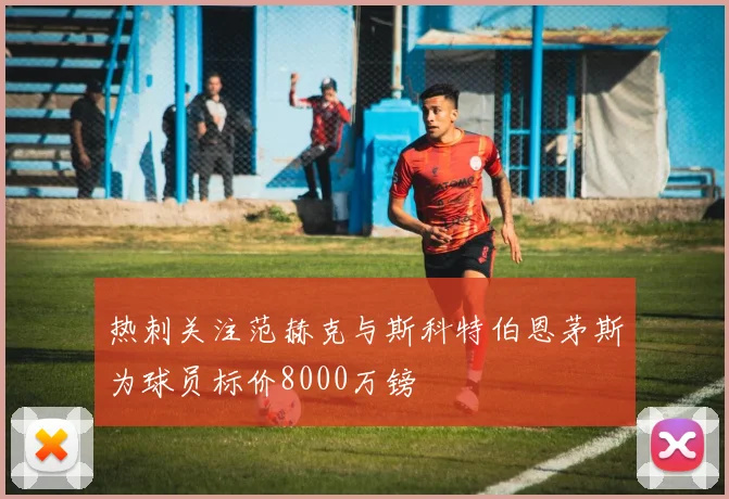 热刺关注范赫克与斯科特伯恩茅斯为球员标价8000万镑