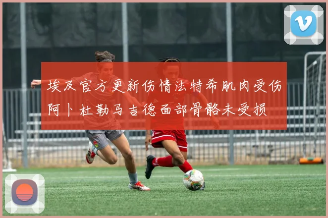 埃及官方更新伤情法特希肌肉受伤阿卜杜勒马吉德面部骨骼未受损